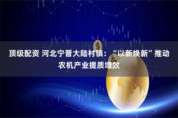 顶级配资 河北宁晋大陆村镇：“以新焕新”推动农机产业提质增效