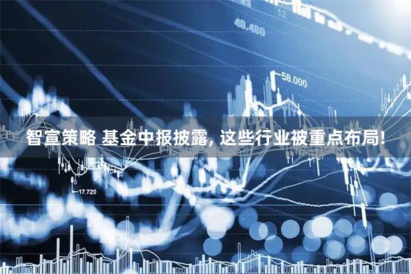 智宣策略 基金中报披露, 这些行业被重点布局!